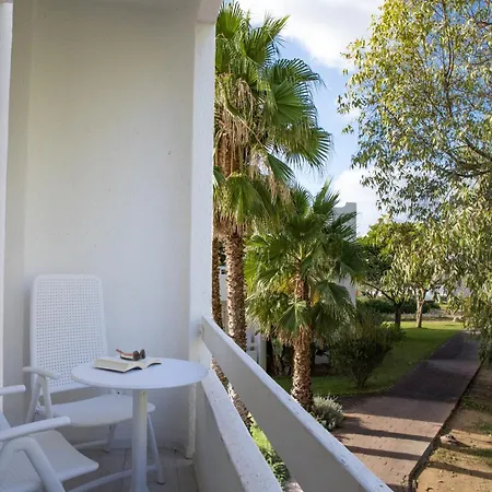 Flamingo Отель 4*