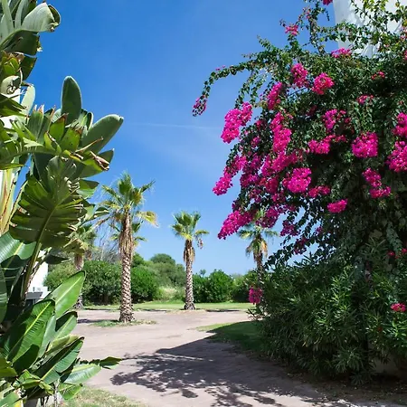 酒店 佛拉明哥酒店