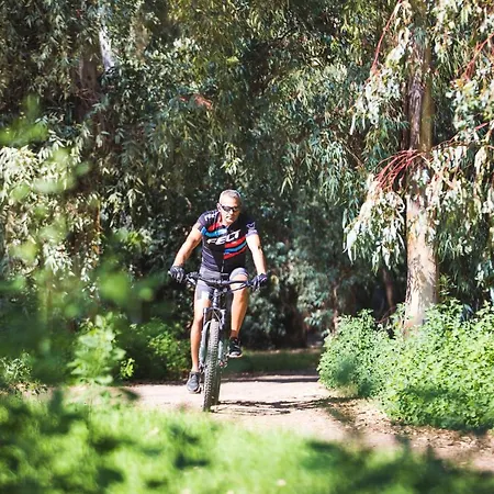 佛拉明哥酒店 4* 圣玛格利特迪普拉