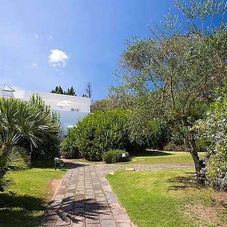 Flamingo 4*