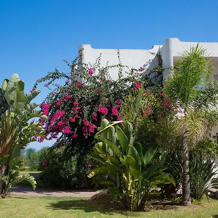 Hotel Flamingo 4*