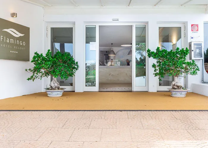 Отель Flamingo 4*