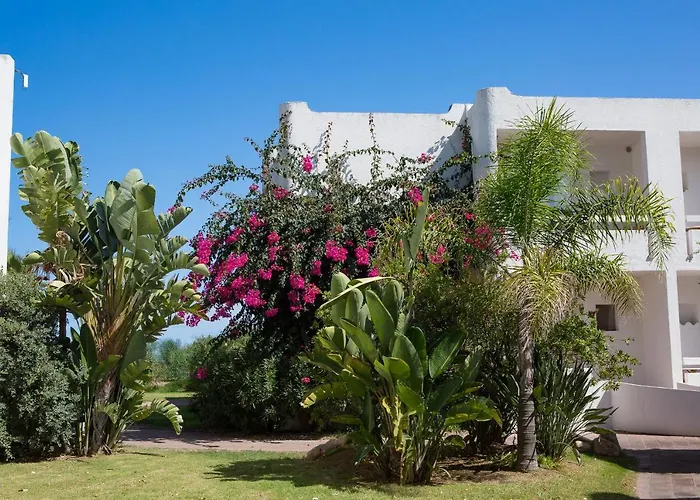 Flamingo Отель 4*